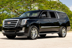 2019 Cadillac Escalade